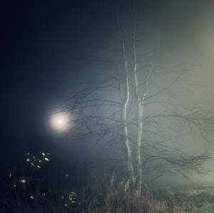 Foggy Moon