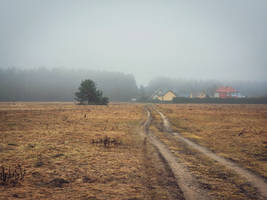 Misty path