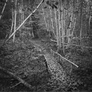 Self-effacing Bridge