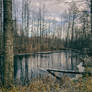 November exhalation