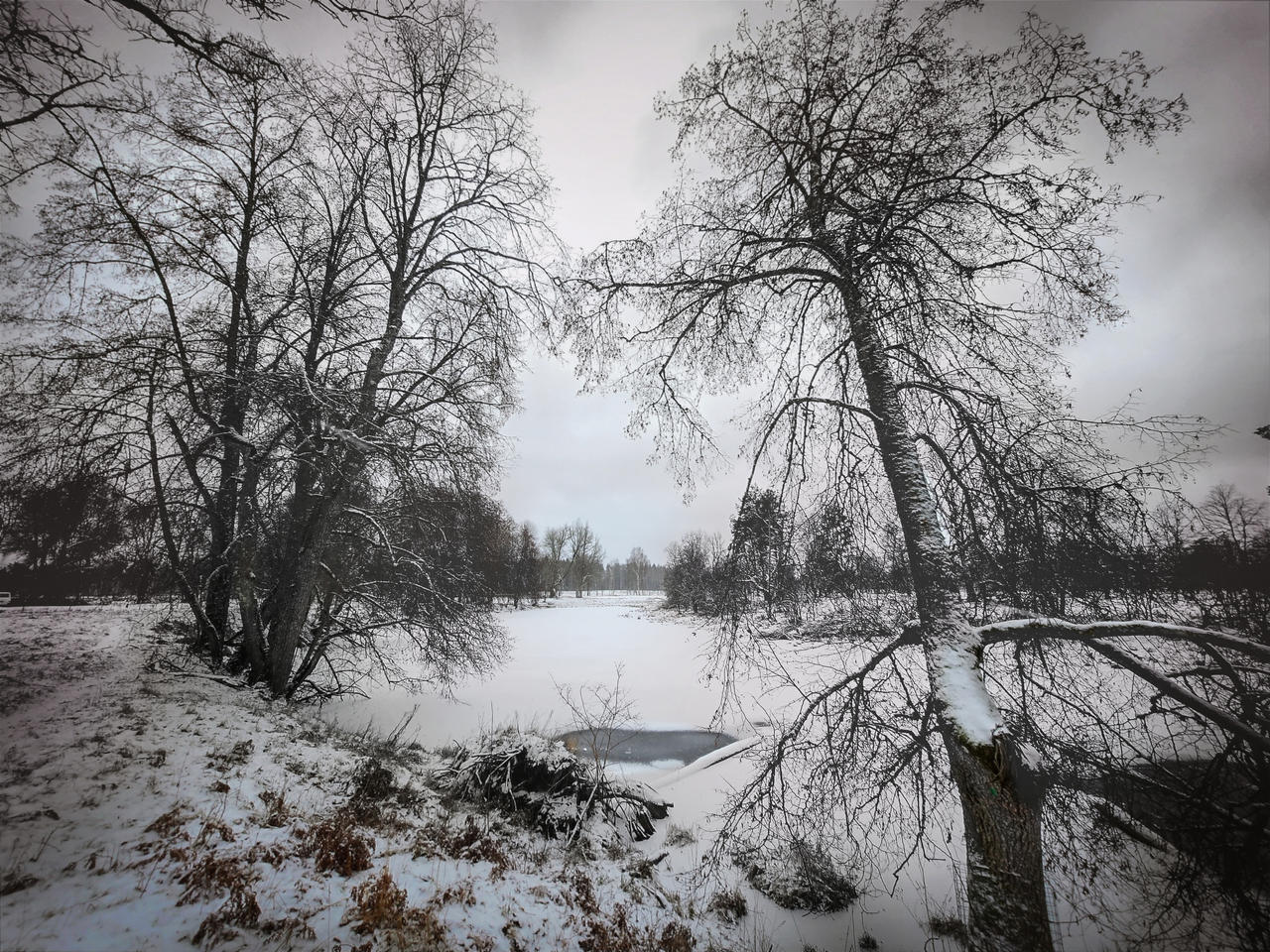 A Bow to Melancholy