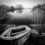 The Shore of Sleep