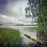 Silent Shore