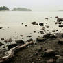 Silent Coast