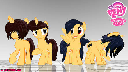 RinTeo (MLP form)