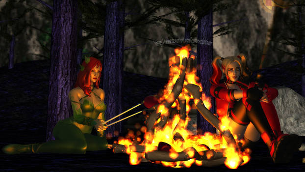 A rest stop in the forest