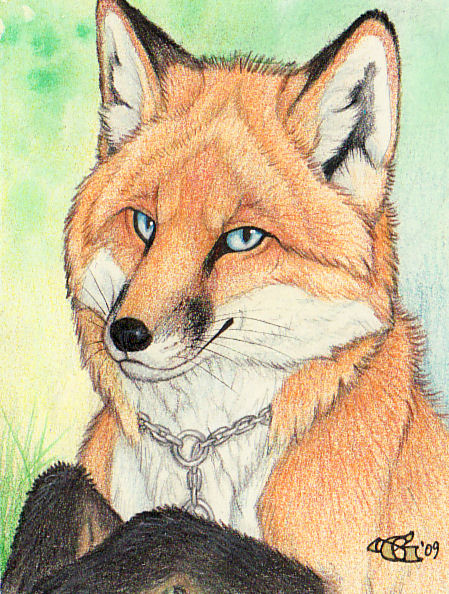 Foxxz Badge