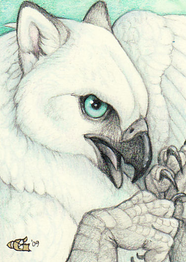 Shimmerhawk - ACEO