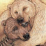 Bear Hug