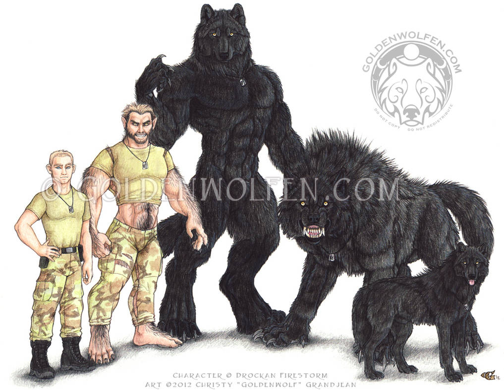 The Five Forms by Goldenwolf