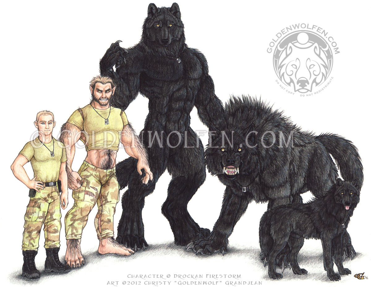 The Five Forms by Goldenwolf