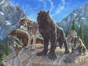 Interloper by Goldenwolf