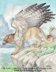 Puma Gryph