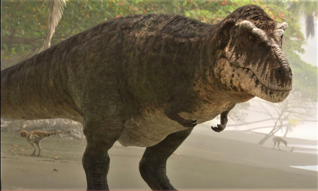 T-Rex from BBC's Prehistoric Planet by DragoRoku on DeviantArt