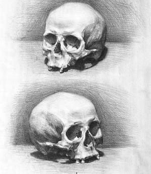 Skull sketches #5