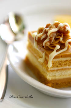 Pecan Caramel Slice