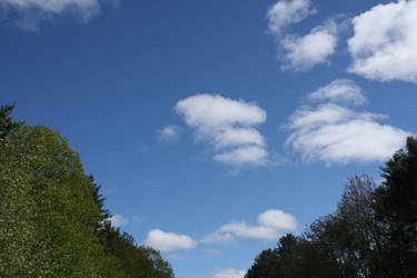 sky over a field