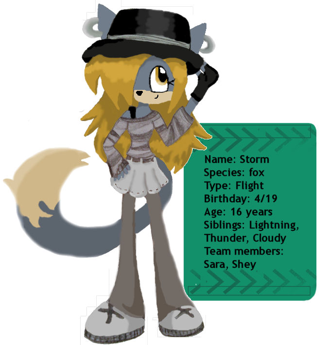 Storm- Profile by lightningtrouble on DeviantArt