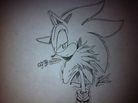 Sky the Hedgehog