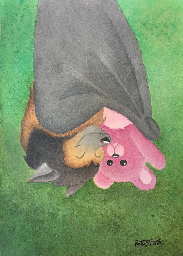 Boyd the Bat and his Pink Teddy