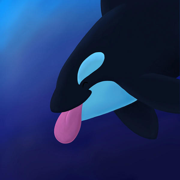 Cheeky Orca