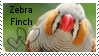 Zebra finch stamp