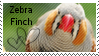 Zebra finch stamp by muddyputty