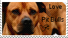 Pit bull stamp