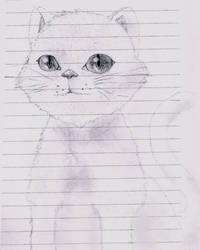 Cat Drawing