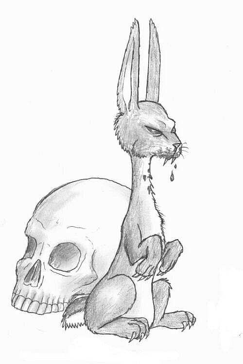 Evil Rabbit