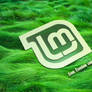 Linux Mint Wallpaper 3D