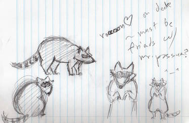 raccoon sketches