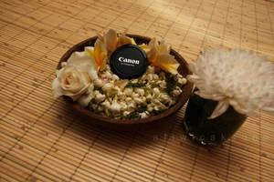 :canon 'Flowers Editions'1: