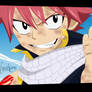 Natsu Dragneel - 296