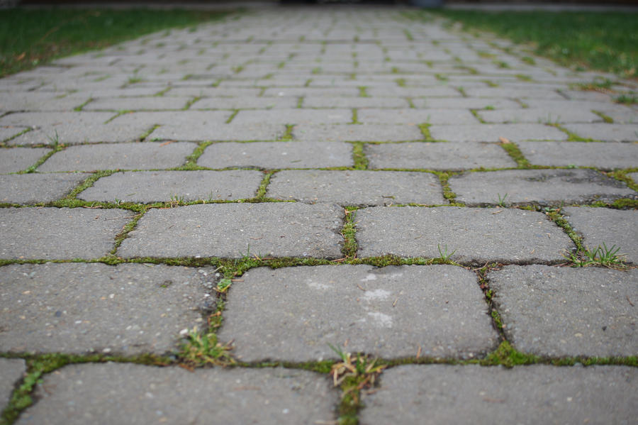 Stepping Stones Texture 1