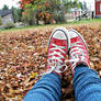 On a bed of leaves.