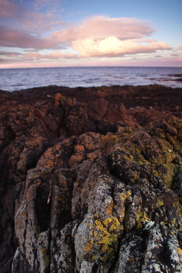 Sunrise at Culzean