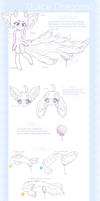 Lacedragons Species Sheet