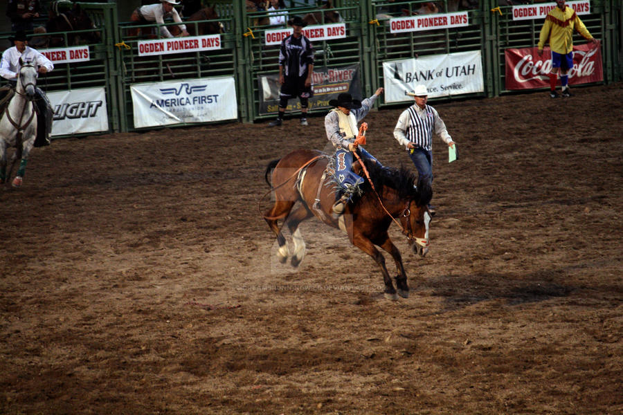 Mini Rodeo Bronc Rodeo: Saddle Bronc by DreamsRunningWild on DeviantArt