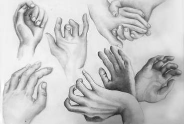 Hands Study