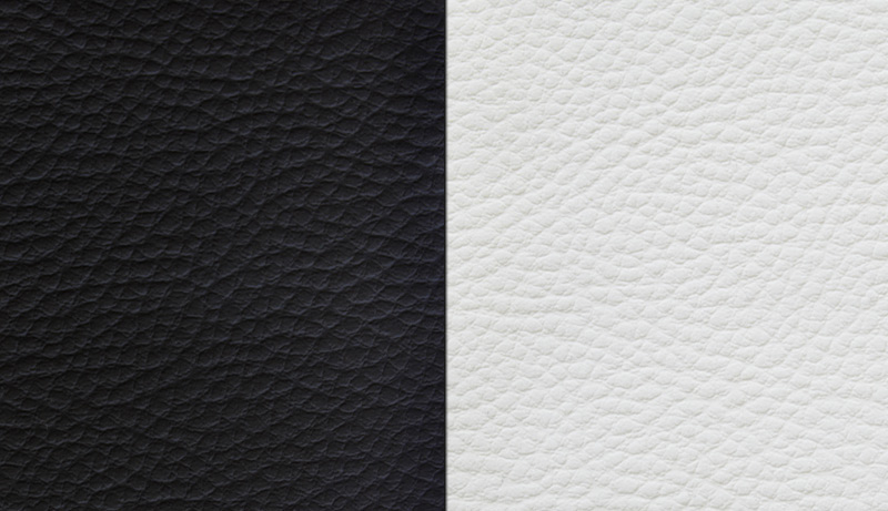 Leather Texture with 2 Colors