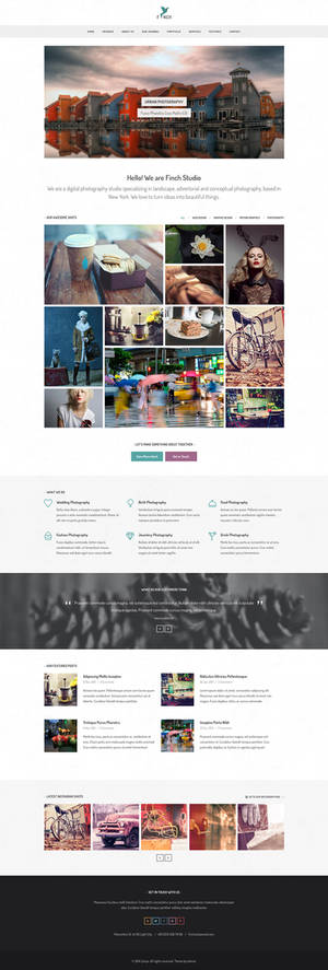 Finch Free Homepage PSD