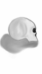 Sketch A Skull