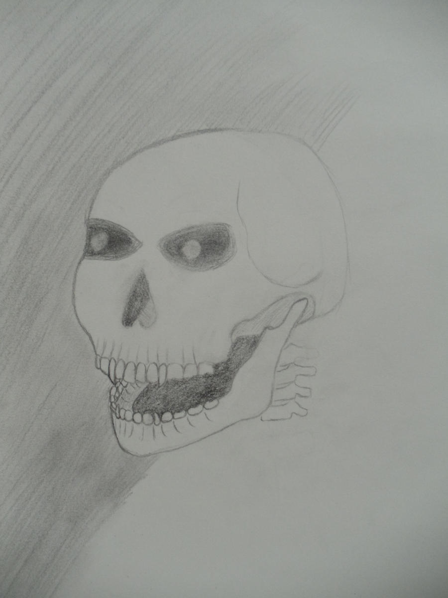 Skull: In Progress