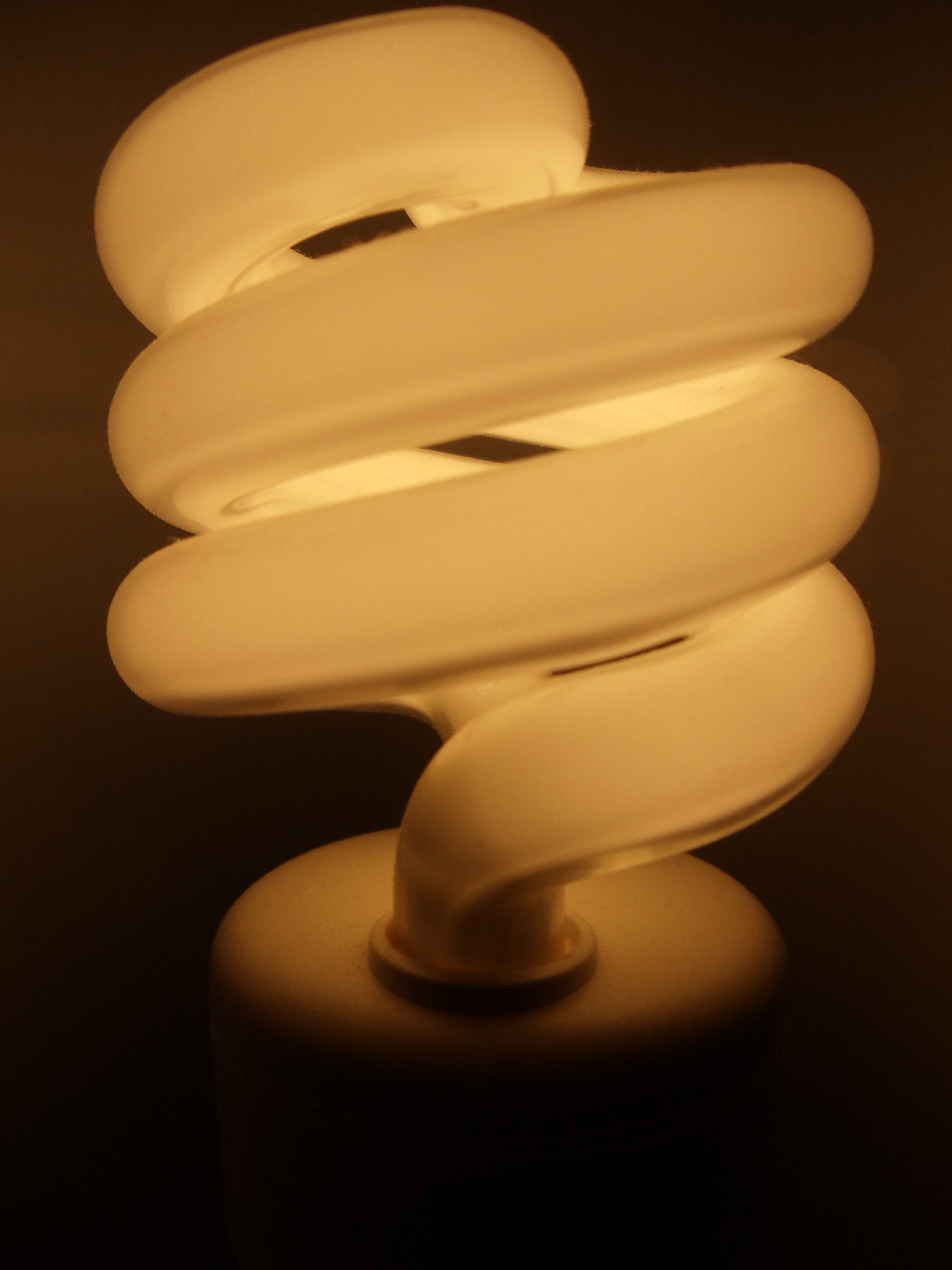 Light-Bulb