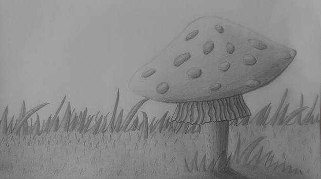 Mushroom