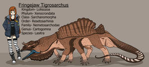 Fringejaw Tigrosarchus