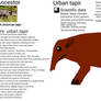 Urban future - Urban tapir