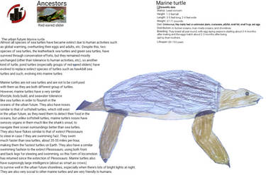 Urban Future: Marine Turtle