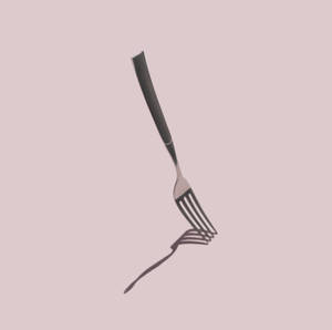 Fork